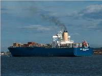 MSC MIA SUMMER